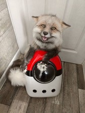 Fun Novelty Pokeball Pet