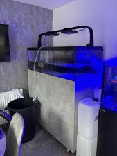 Shallow Reef Tank Aquarium