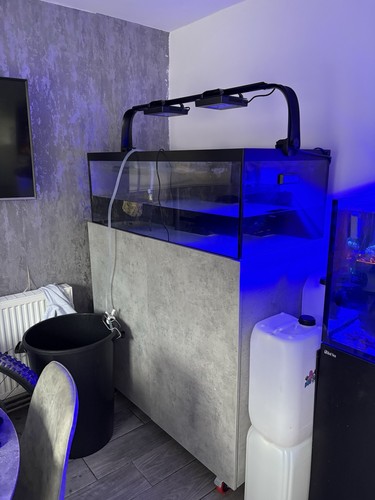 Shallow reef tank - shallow,