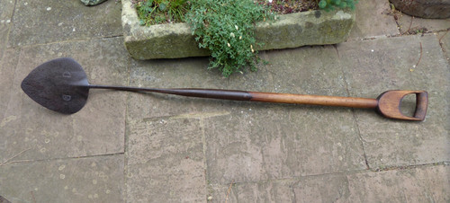 Vintage skelton turf - ct, 2,