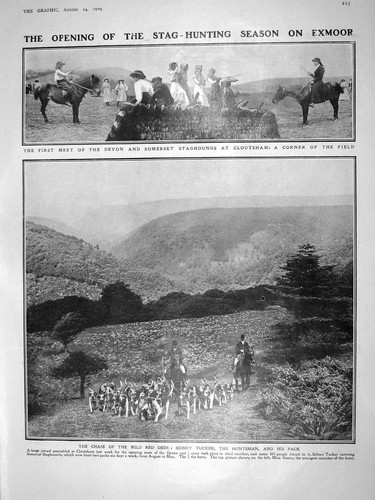 Old antique print - print, devon