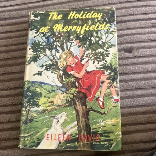 The holiday merryfields - the,