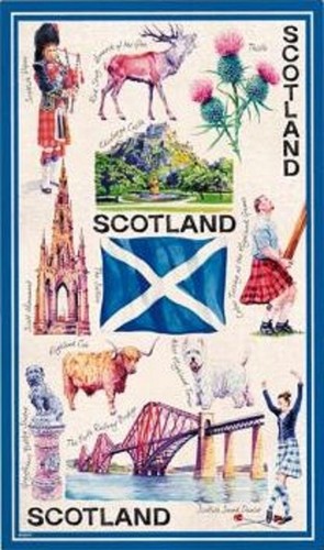 Scottish tea towel souvenir - tea,