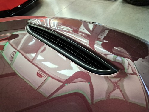 Carbon bonnet hood grid - bonnet,