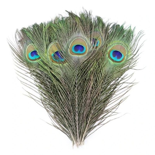 10pcs real peacock - 10pcs,