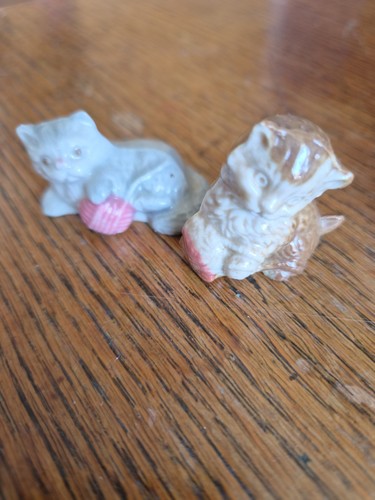 Two cat kitten - cat,
