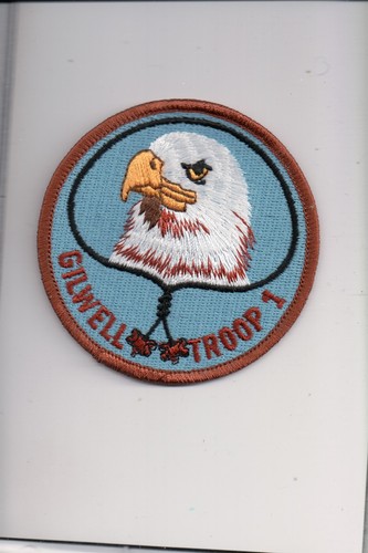 Eagle gilwell troop - eagle,