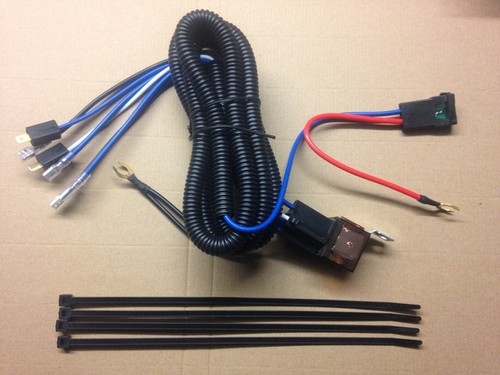Air horn wiring harness - horn, loom