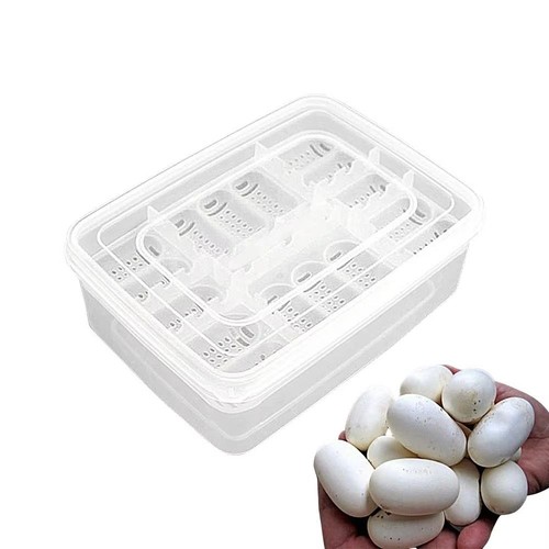 Reptile hatch box snake - reptile,