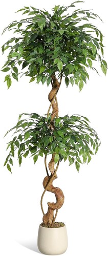 Artificial ficus tree with - artificial,