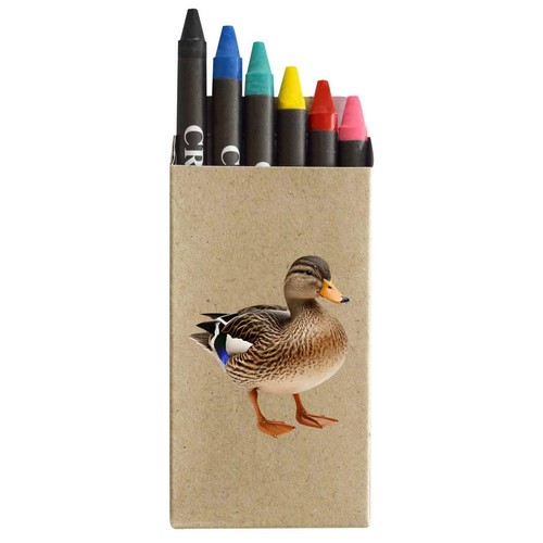 Mallard duck coloured crayon - duck',