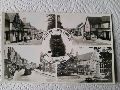Vintage postcard bishop s - vintage, bishop's