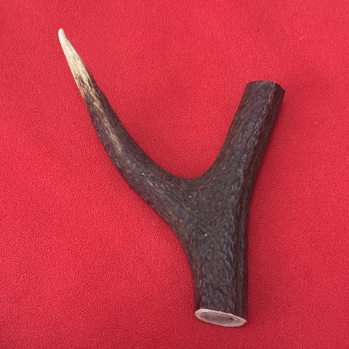 One piece deer antler y - piece, of