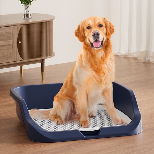 Plastic puppy dog toilet - plastic,