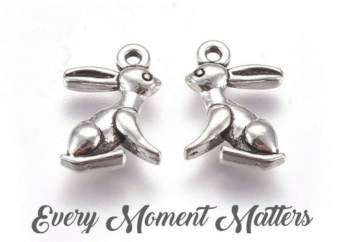 Tibetan silver rabbit - x,