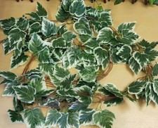 Artificial Trailing Ivy