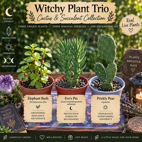 Witchy plant trio live - plant,