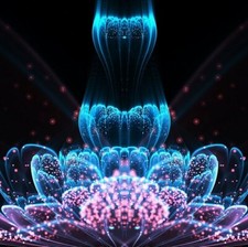 Healing Tissues And Organs 285