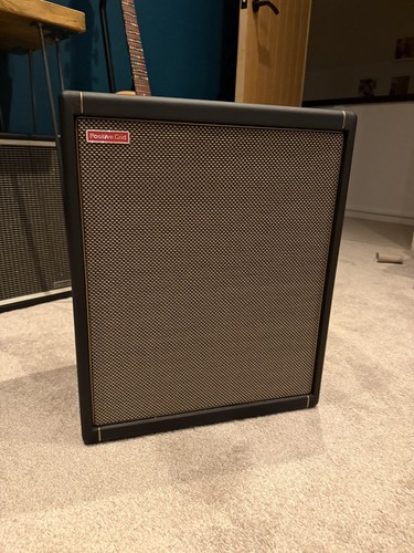 Positive grid spark cab - positive, frfr