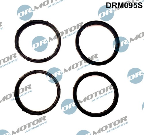 Fits motor drm095s - dr., seals
