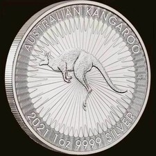 1oz solid 99.99% silver coin