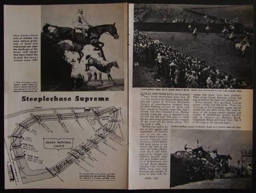 Grand national steeplechase - grand,