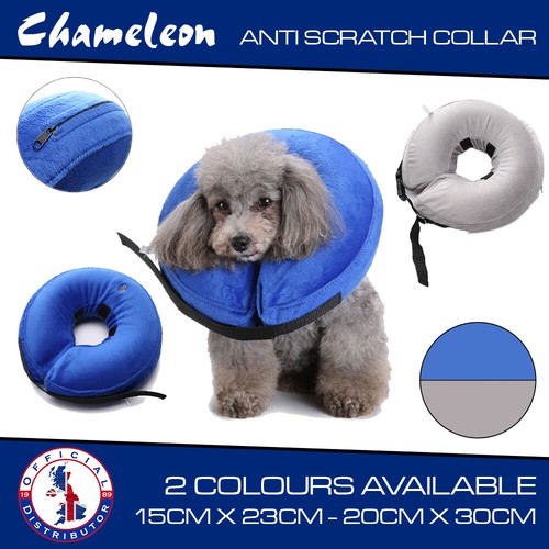 Pet inflatable collar - collar, dog