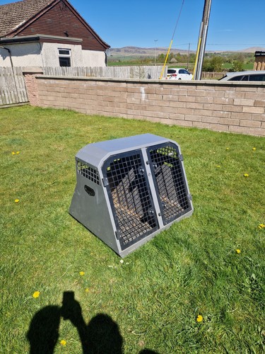 Trans double dog cage with - dog,