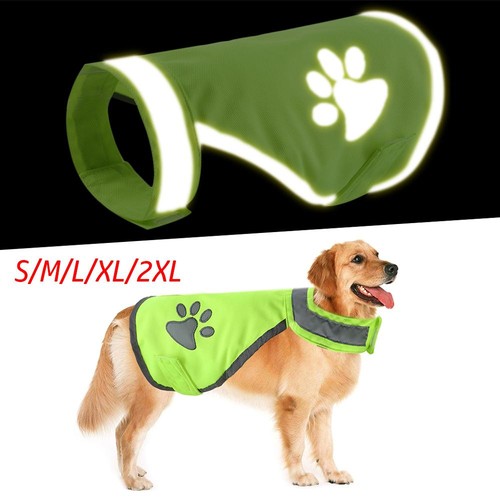Fluorescent dog jacket pet - fluorescent, hi