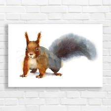Curious Squirrel Watercolor