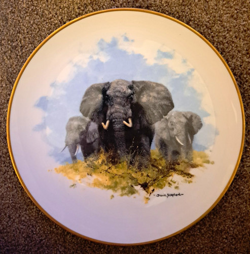 Wedgwood david shepherd - wedgwood,