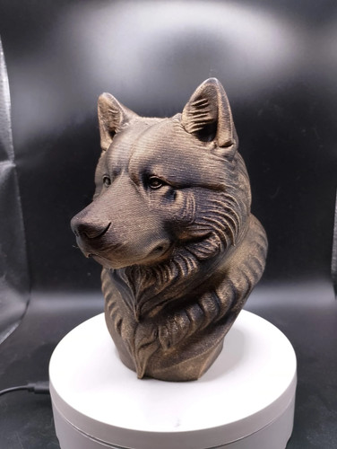 Alaskan malamute bust - alaskan,