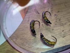 Fly Fishing Pack Of 3 Barbless