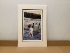 Steven Townsend - Frosty Morn