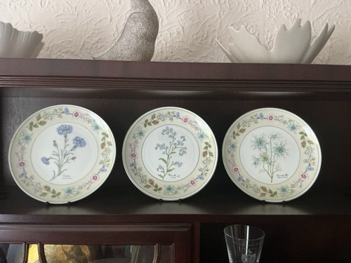 Aynsley wild tudor plates trio - tudor,