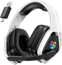 Wireless Gaming Headset for PC
