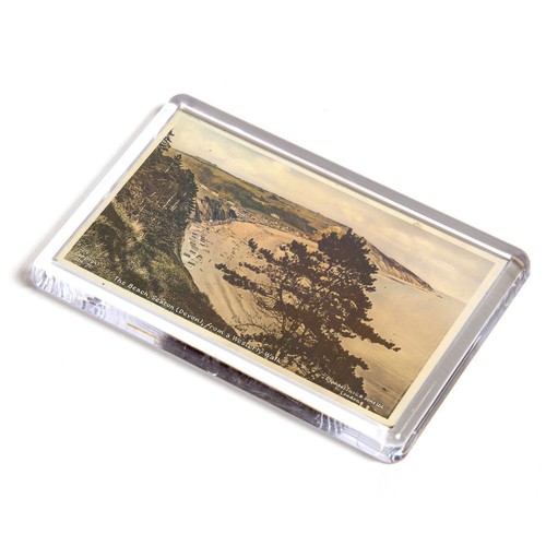 Fridge magnet vintage devon - fridge,