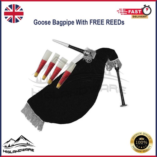 Practice scottish goose - "practice,