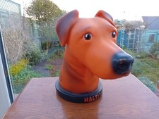 Halti, Dogs Head, Display Bust