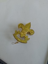 Vintage Scouts Pin Badge