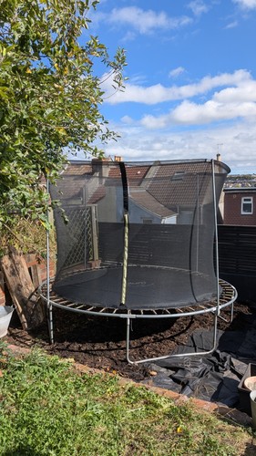 Large tranpoline outdoor - large,