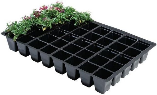 Pack seed tray insert - insert, plug