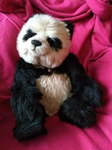 Charlie bears tea leaf rare - charlie,