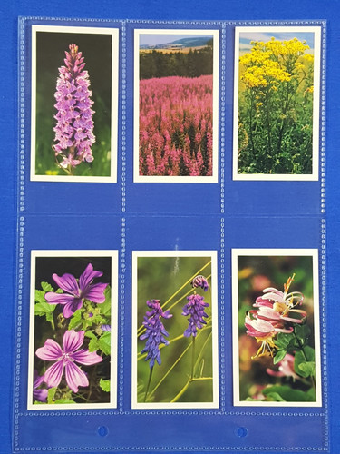 Doncella cigarette cards - doncella,