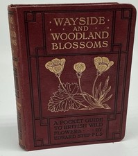 Wayside And Woodland Blossoms
