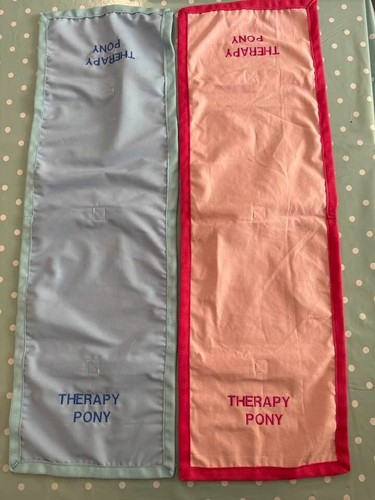 Therapy horse tabbard - therapy,