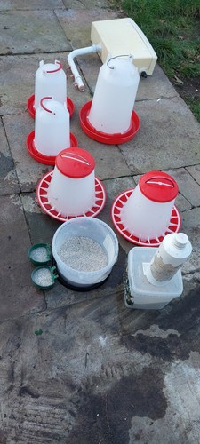 Poultry feeders and water - poultry,