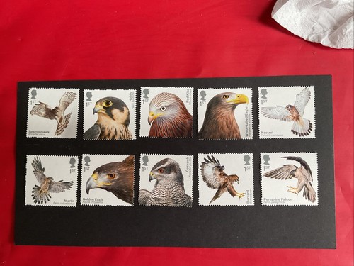 2019 birds prey - 2019, set