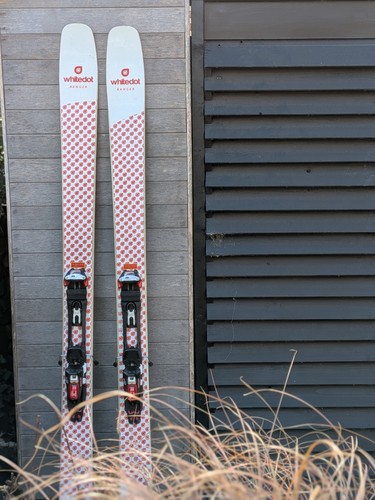 Whitedot ranger 186 skis - , +