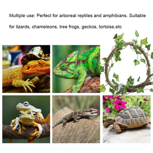 Reptile climbing branch - climbing,